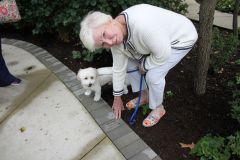 Liz-Friedlander-Fathers-Brick-1