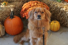 BCHH-Open-House-Aggie