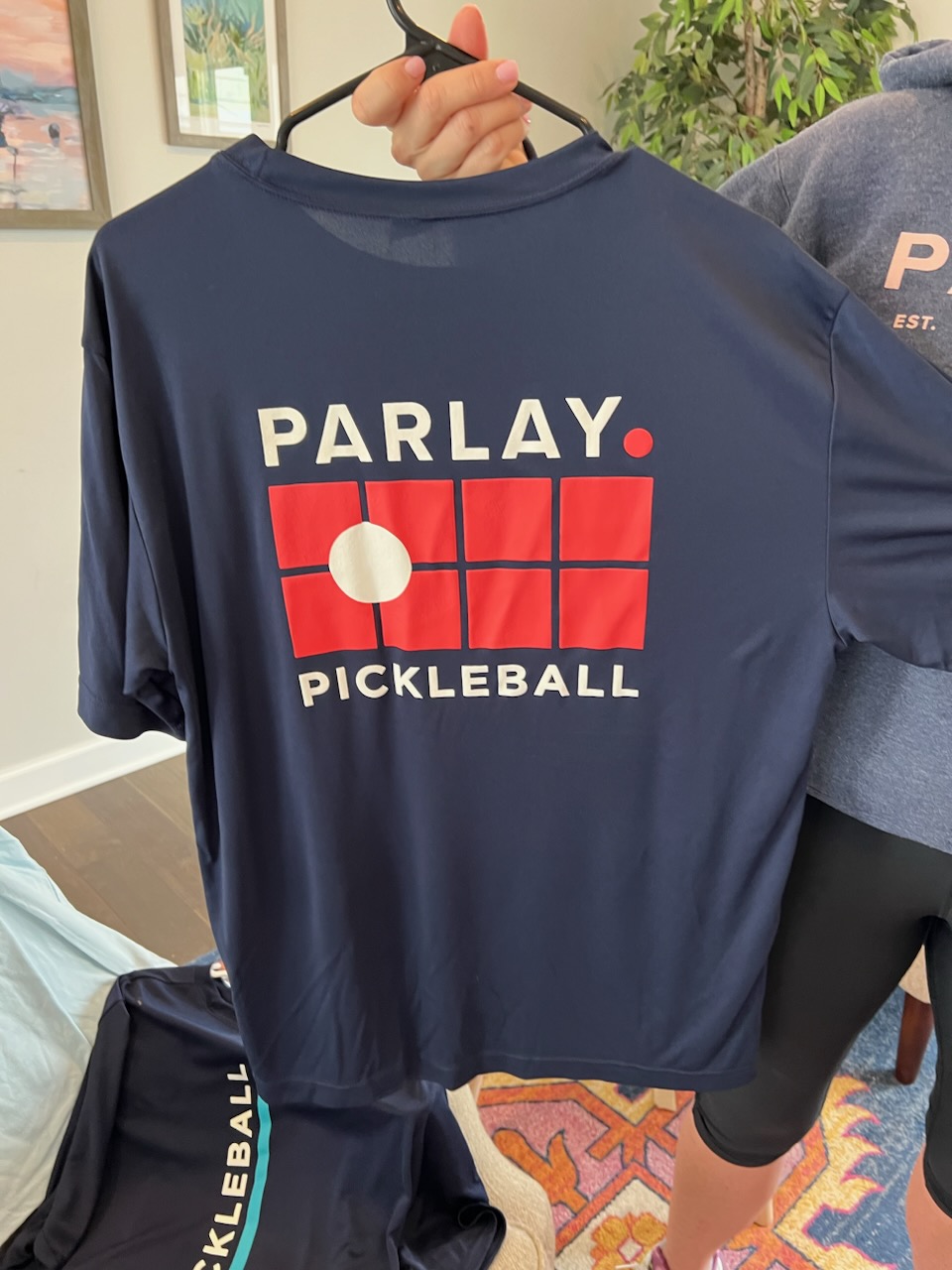 Pickle ball 2